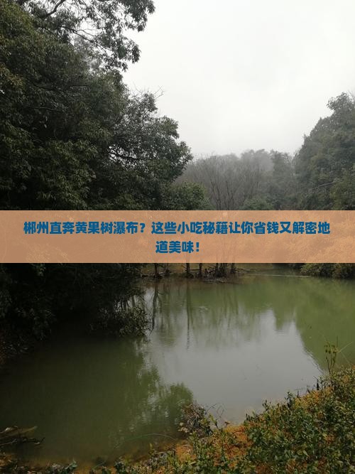 郴州到贵州黄果树瀑布旅游小吃