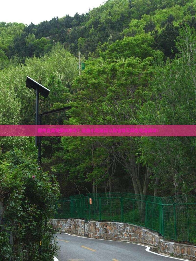 郴州到贵州黄果树瀑布旅游小吃