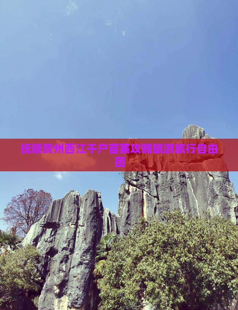 抚顺去贵州西江千户苗寨自由团