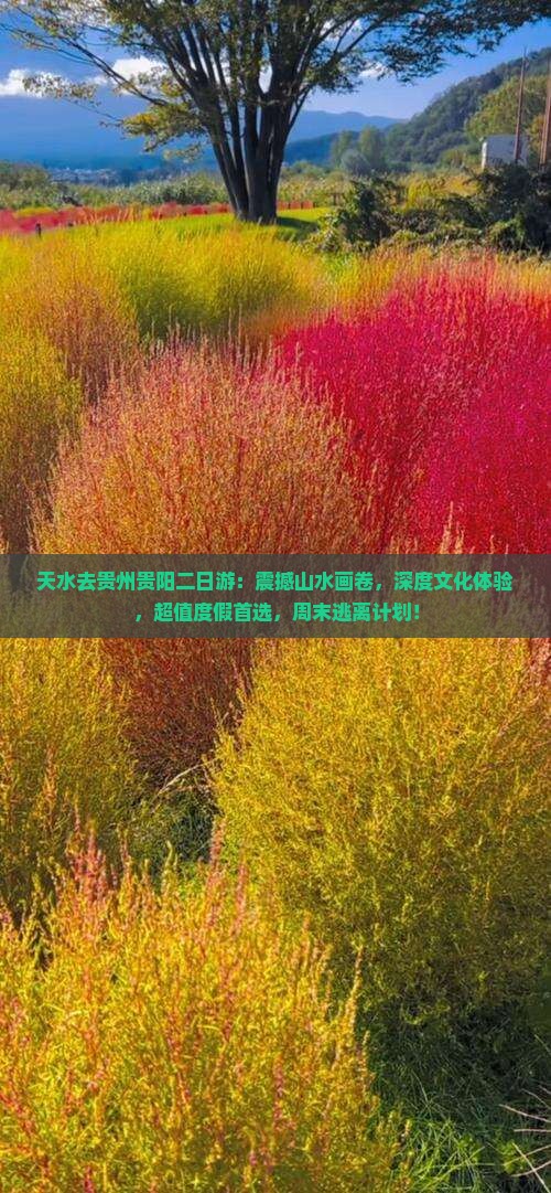 天水去贵州贵阳二日游