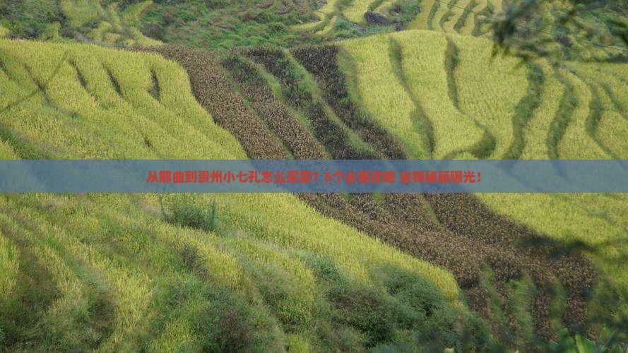 那曲到贵州小七孔门票