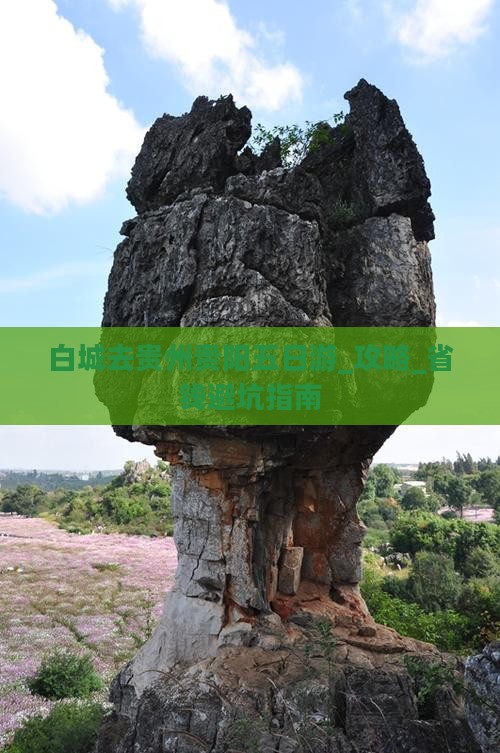 白城去贵州贵阳五日游