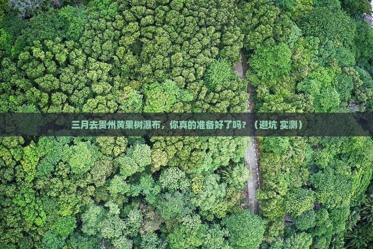 三月到贵州黄果树瀑布个人游