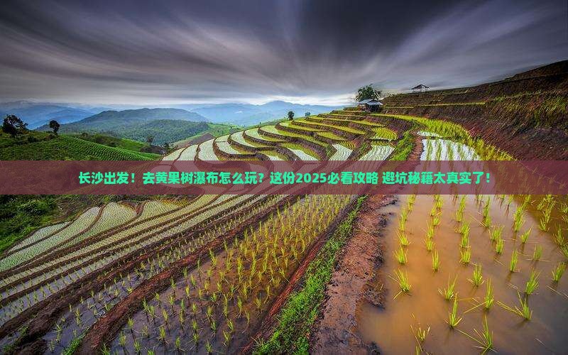 长沙到贵州黄果树瀑布旅行社