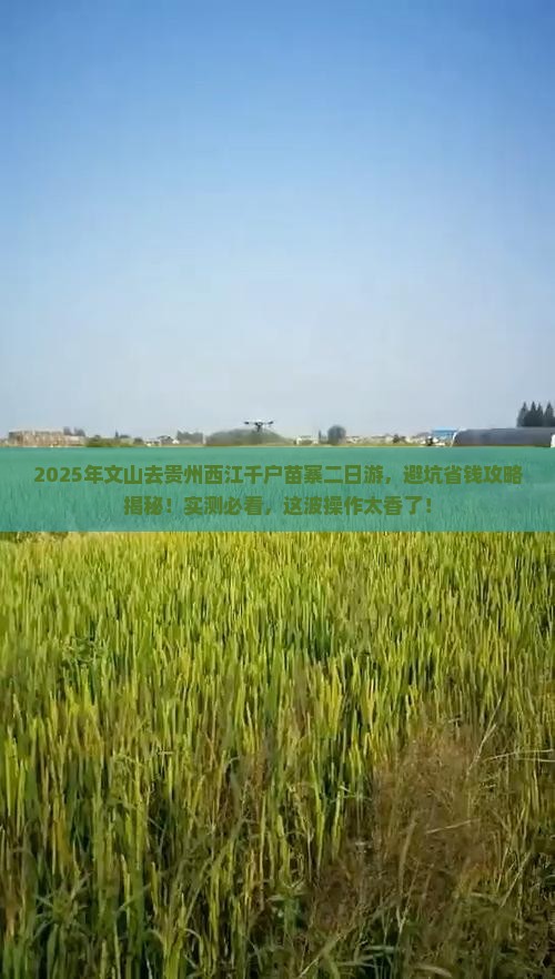 文山到贵州西江千户苗寨二日游
