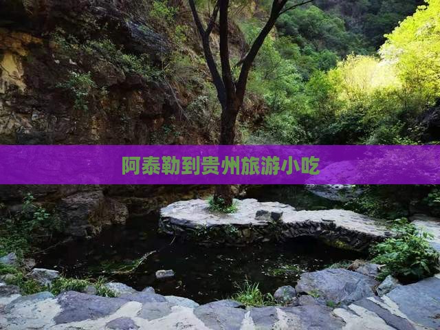 阿泰勒到贵州旅游小吃