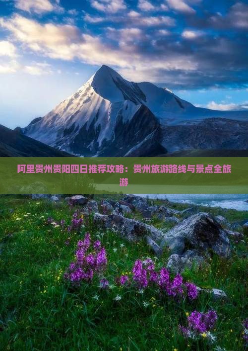阿里去贵州贵阳四日游