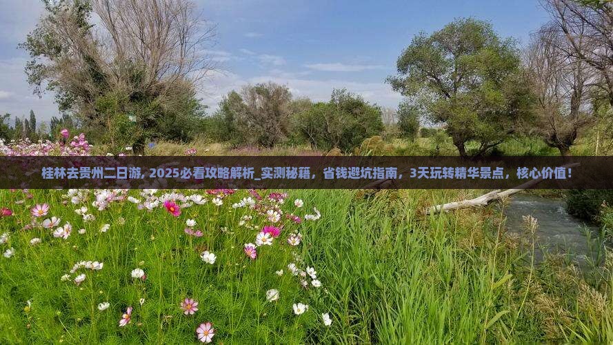 桂林去贵州二日游