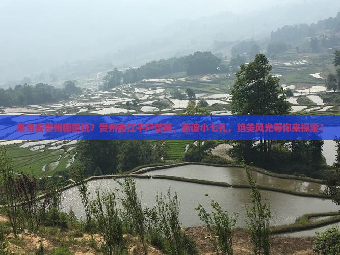 果洛去贵州哪里玩