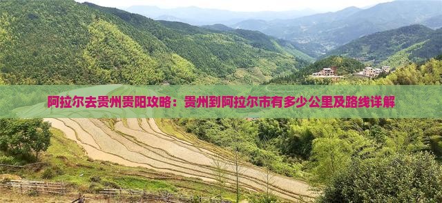 阿拉尔去贵州贵阳攻略