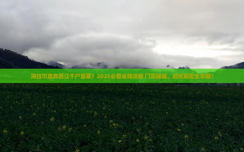 海拉尔到贵州西江千户苗寨门票