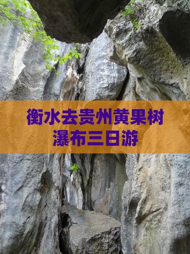 衡水去贵州黄果树瀑布三日游