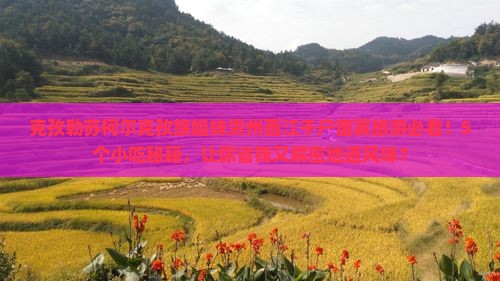 克孜勒苏柯尔克孜到贵州西江千户苗寨旅游小吃