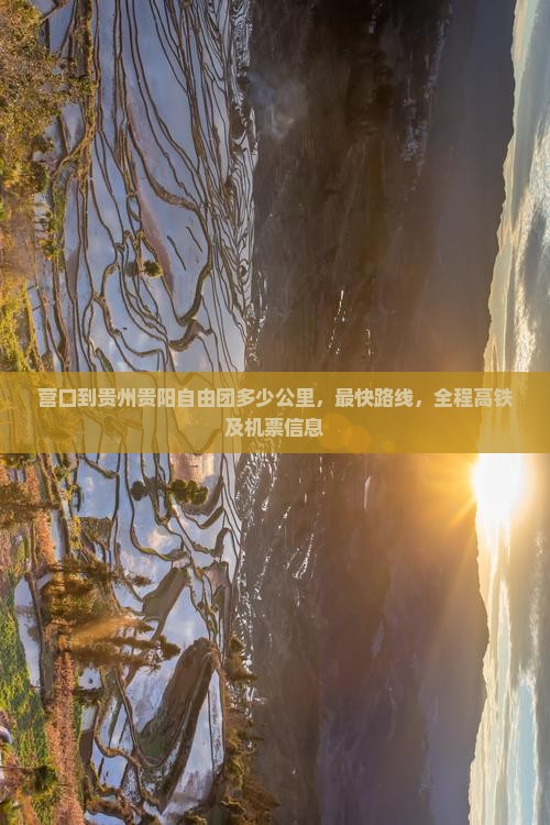 营口到贵州贵阳自由团