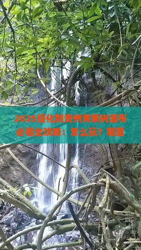 绥化到贵州黄果树瀑布哪里玩