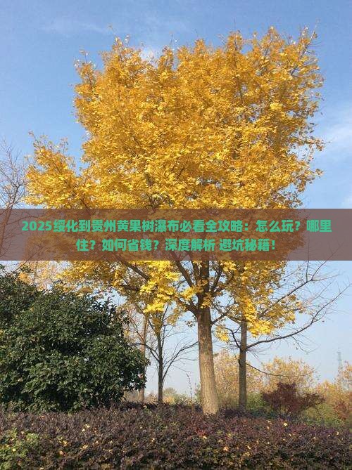绥化到贵州黄果树瀑布哪里玩