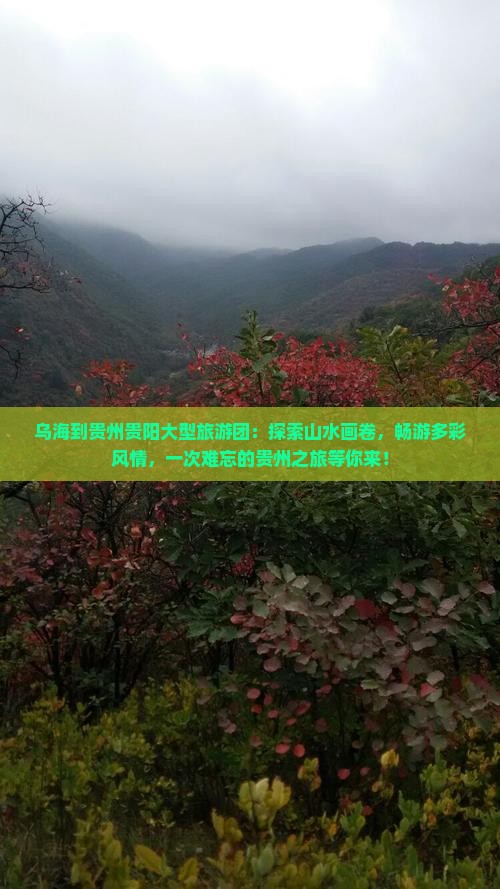 乌海到贵州贵阳大型旅游团
