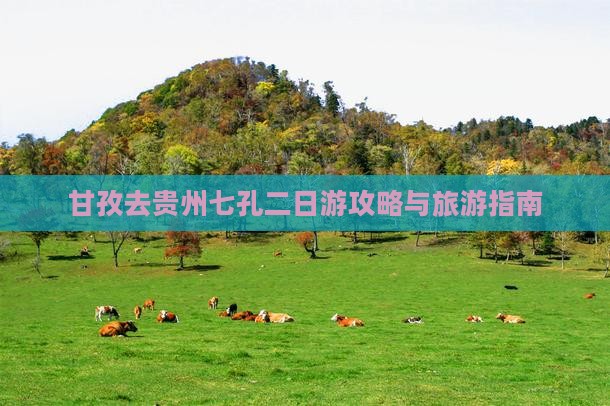 甘孜去贵州小七孔二日游