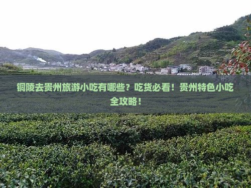 铜陵去贵州旅游小吃