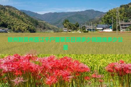 钦州到贵州西江千户苗寨五日游