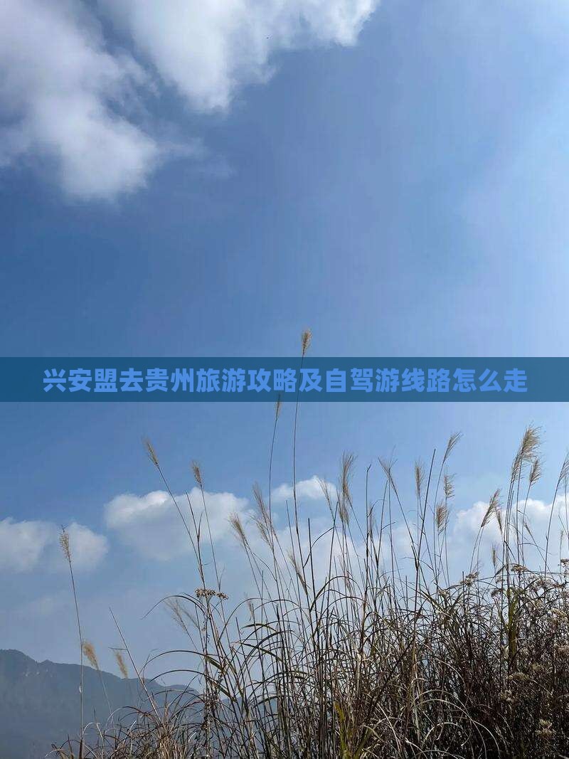 兴安盟去贵州旅游