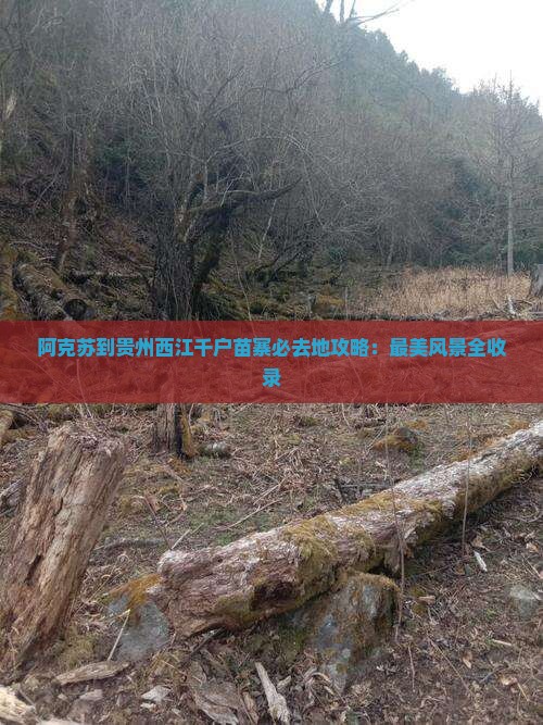 阿克苏到贵州西江千户苗寨必去地