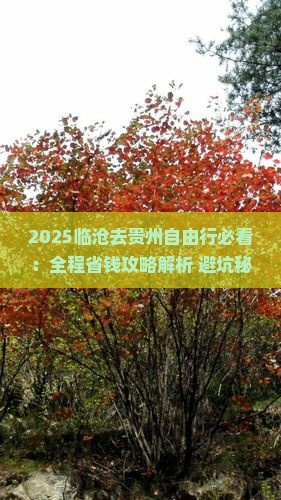 临沧去贵州自由行