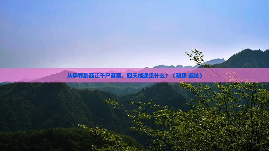伊春到贵州西江千户苗寨四日游