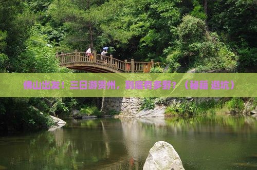佛山到贵州三日游