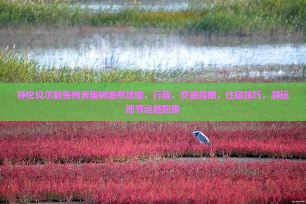 呼伦贝尔到贵州黄果树瀑布攻略