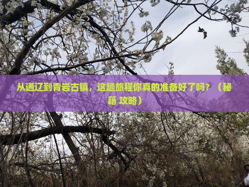 通辽到贵州青岩古镇旅游