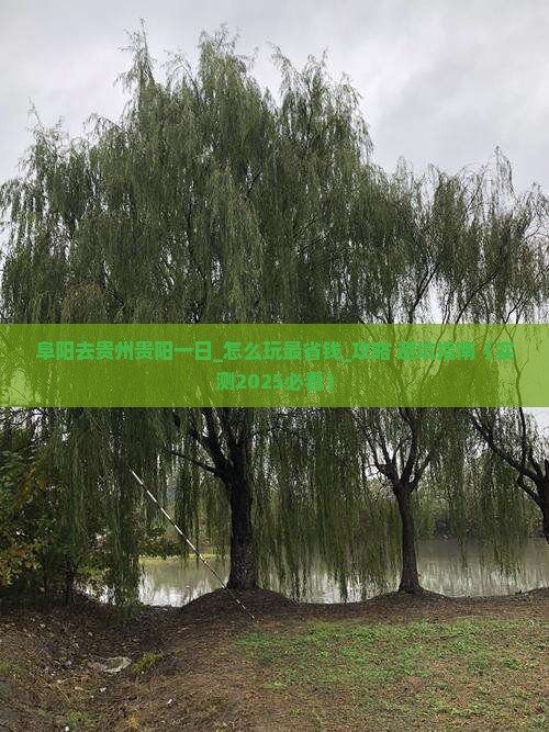 阜阳去贵州贵阳一日