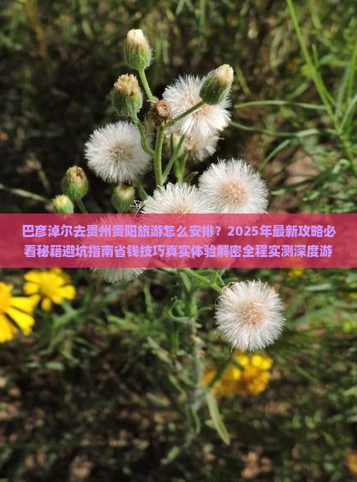 巴彦淖尔去贵州贵阳旅游