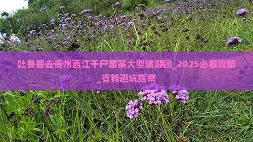 吐鲁番去贵州西江千户苗寨大型旅游团