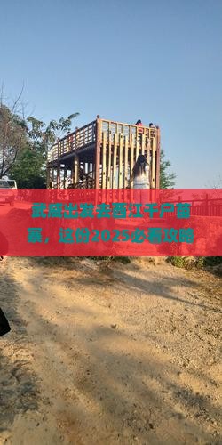武威到贵州西江千户苗寨旅行社