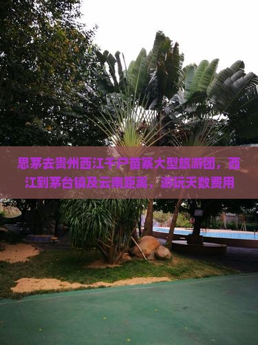 思茅去贵州西江千户苗寨大型旅游团