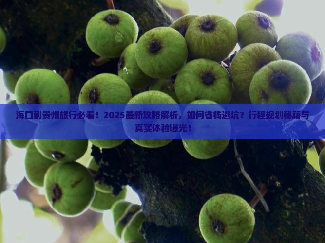 海口到贵州旅行社