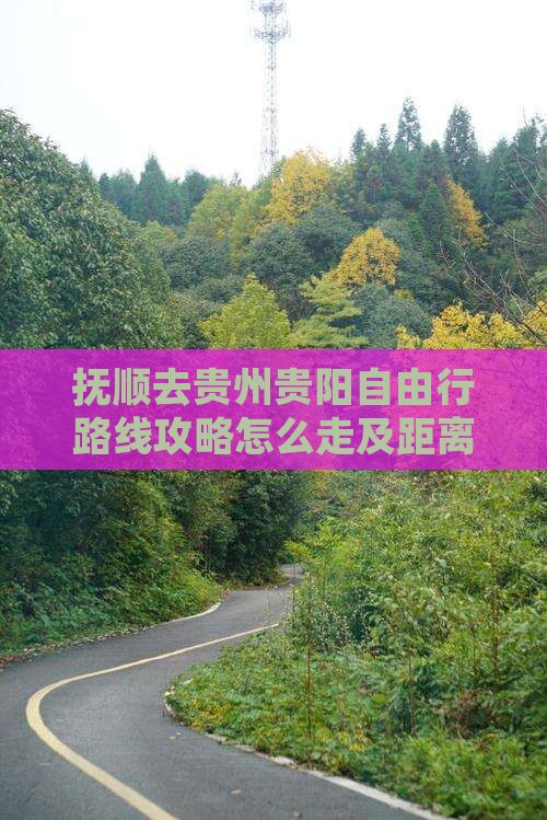 抚顺去贵州贵阳自由行