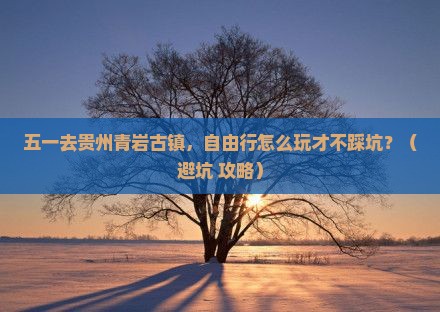 劳动节到贵州青岩古镇自由团