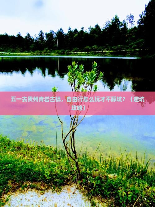 劳动节到贵州青岩古镇自由团
