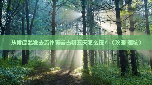 常德到贵州青岩古镇五日游