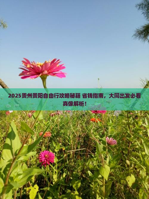 大同去贵州贵阳自由团