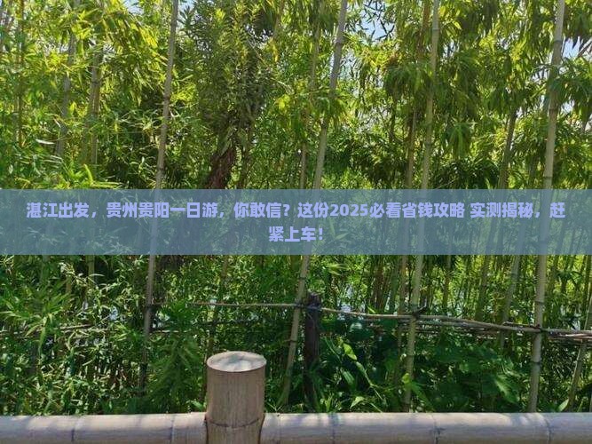 湛江去贵州贵阳一日