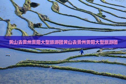 黄山去贵州贵阳大型旅游团