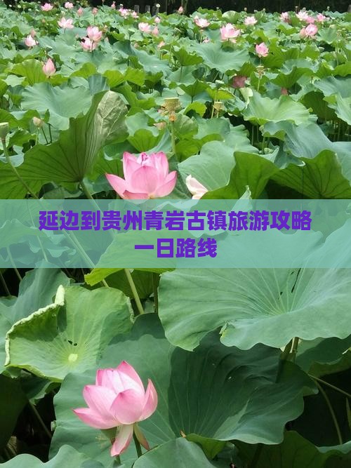 延边到贵州青岩古镇一日