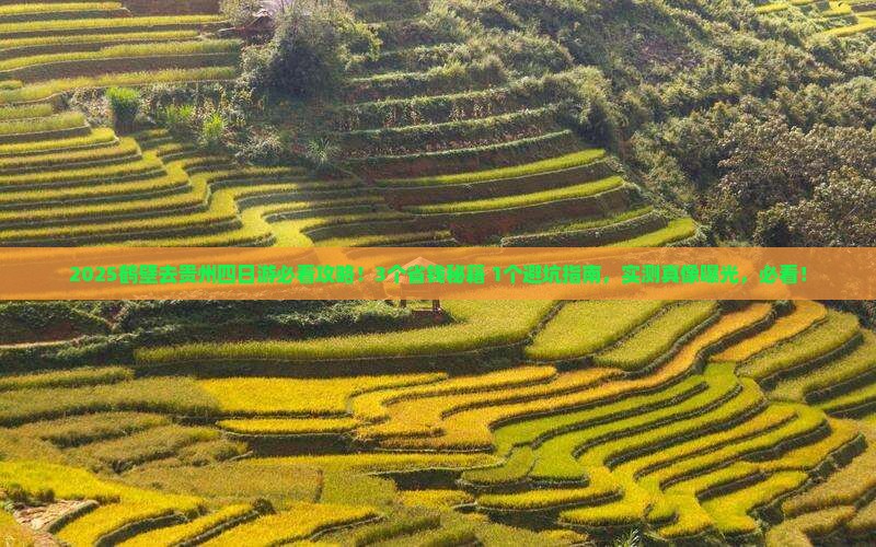 鹤壁去贵州四日游