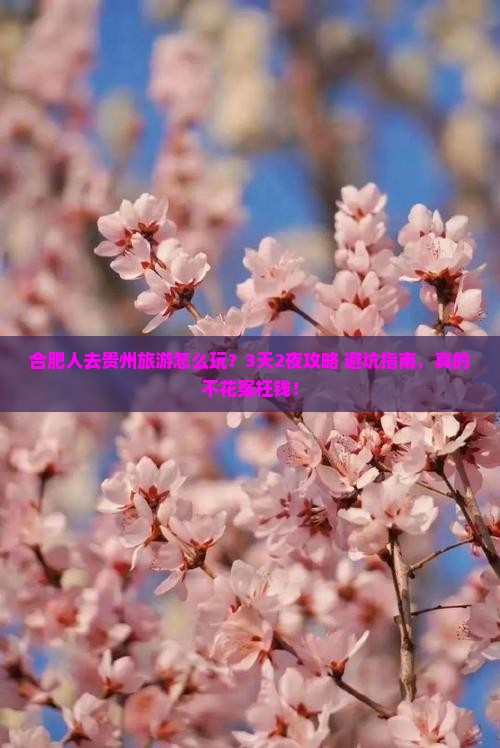 合肥去贵州旅行社