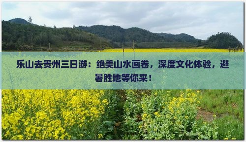 乐山去贵州三日游