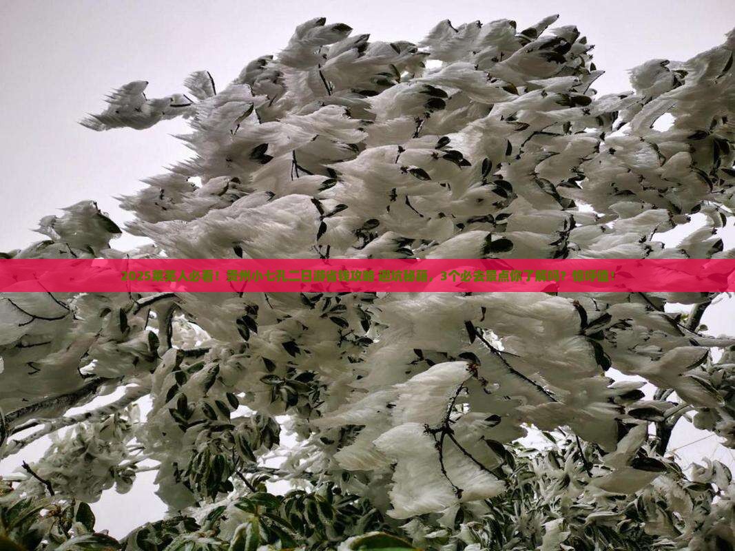 莱芜到贵州小七孔二日游 莱芜到贵州小七孔二日游
