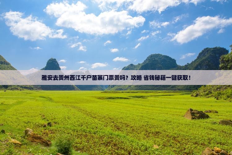 雅安去贵州西江千户苗寨门票